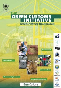 Flyer Green Customs