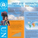 OZONACTION-PANEL UNEP