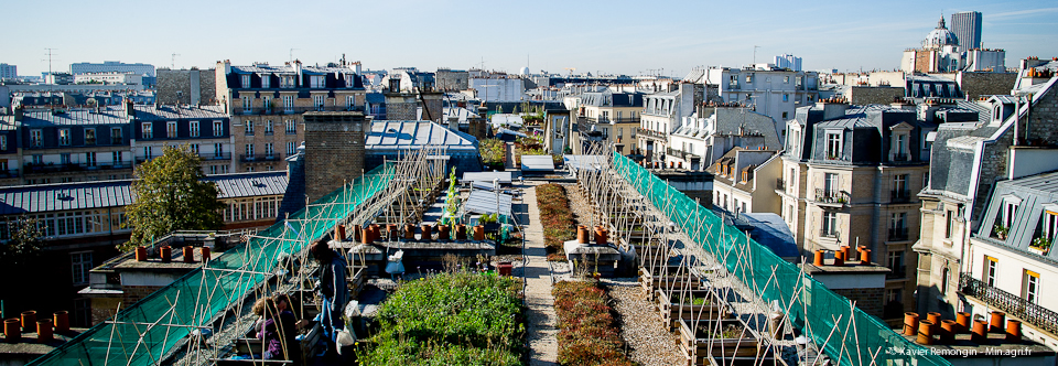 Toit potager vu de haut